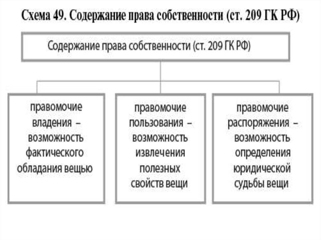 Гражданское право огэ презентация