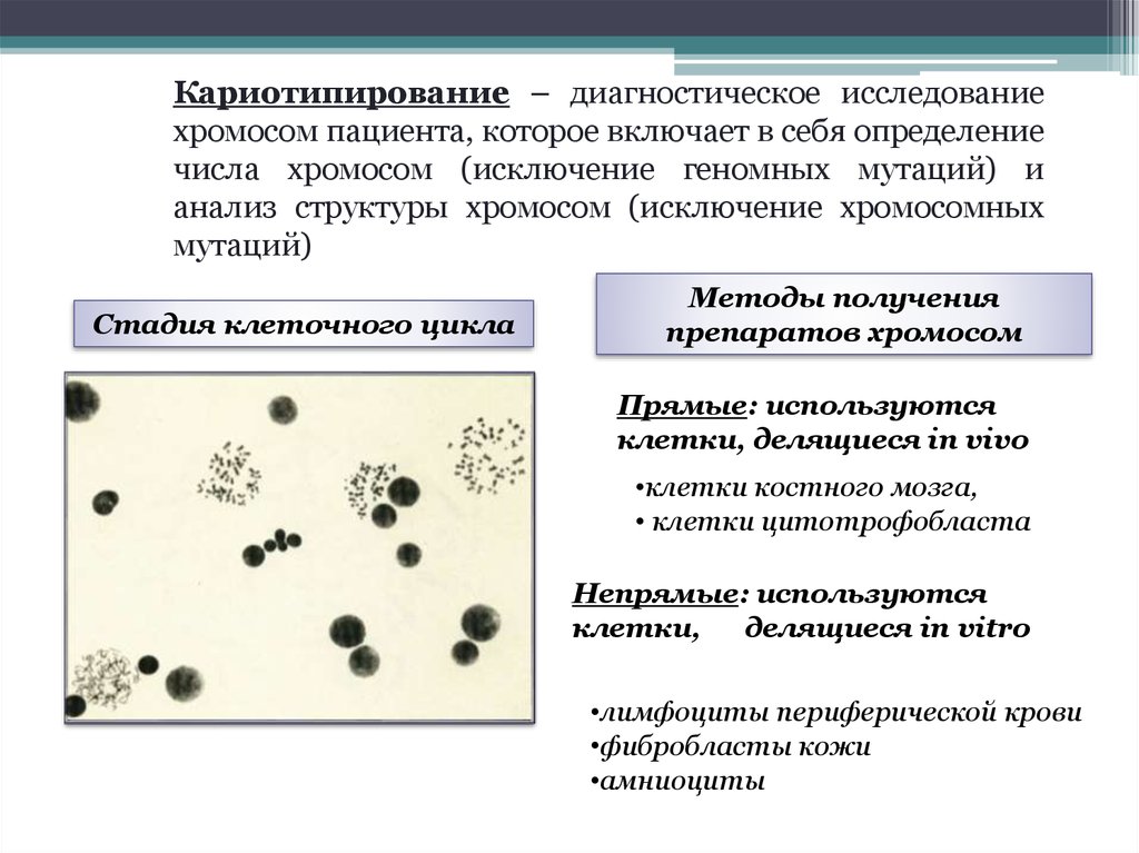 Кариотип сдать анализ. Кариотипирование лимфоцитов периферической крови. Цитологическое исследование крови кариотип. Кариотипирование клеток это что. Кариотипирование исследование.