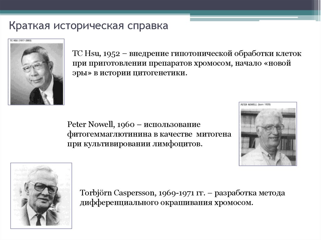 Краткая история всего. Италия краткая историческая справка. Историческая справка Италии кратко. Краткая историческая справка ветстанция. Историческая справка медицина.