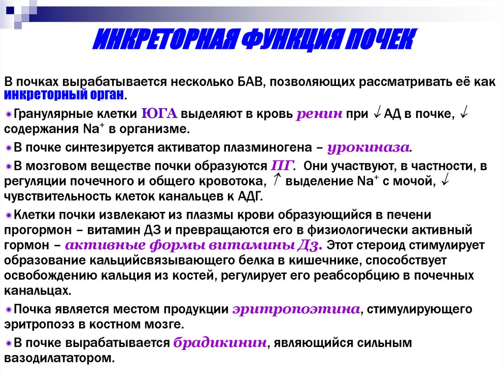 Инкреторная функция это. Инкреторная функция почек. Биологически активные вещества, образующиеся в почках. Какие вещества синтезируются в почках. Экскреторная и инкреторная функции почек.