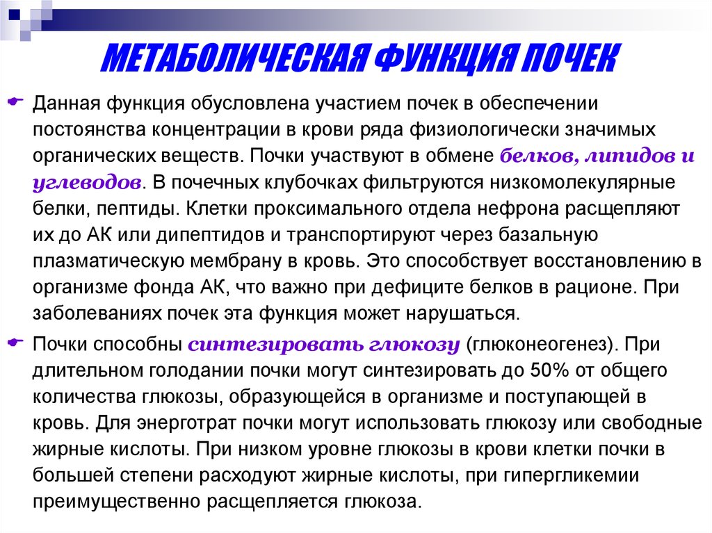 Обмен почками. Метаболическая функция почек. Метаболическая функция поче. Особенности метаболизма почек. Почки принимают участие в обмене.