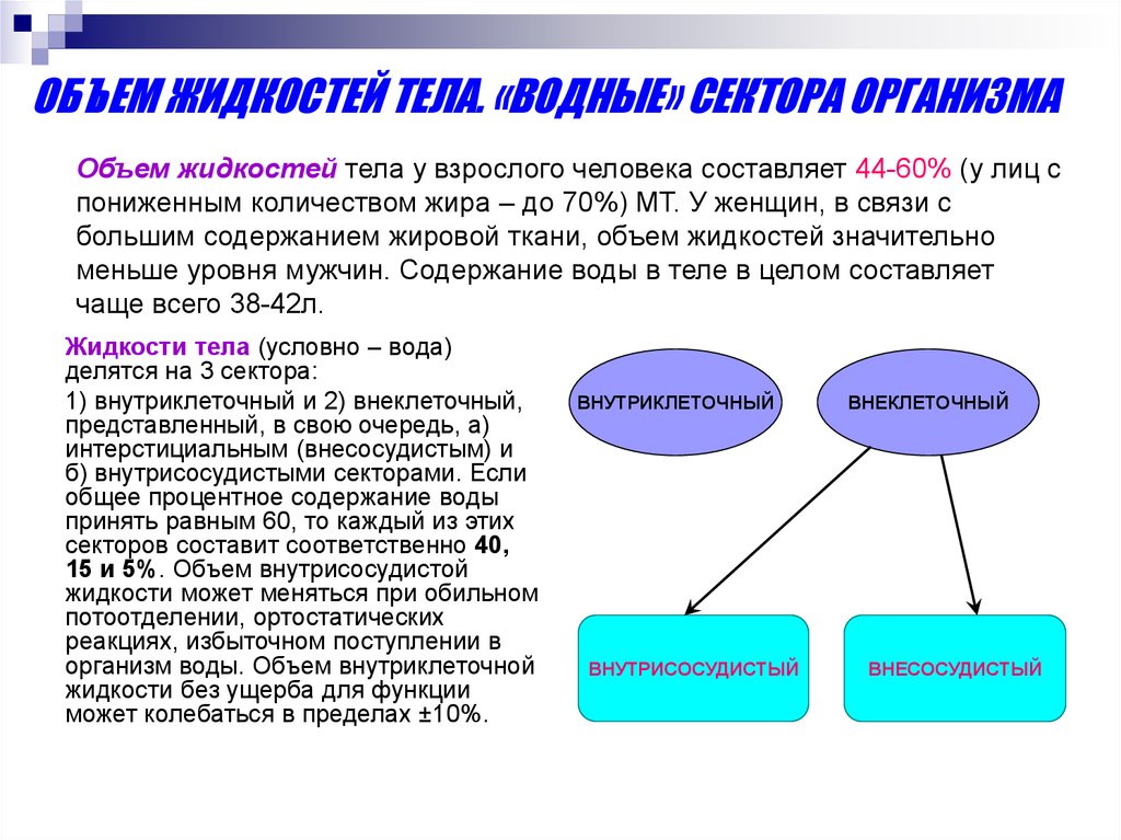 Физиология выделения презентация