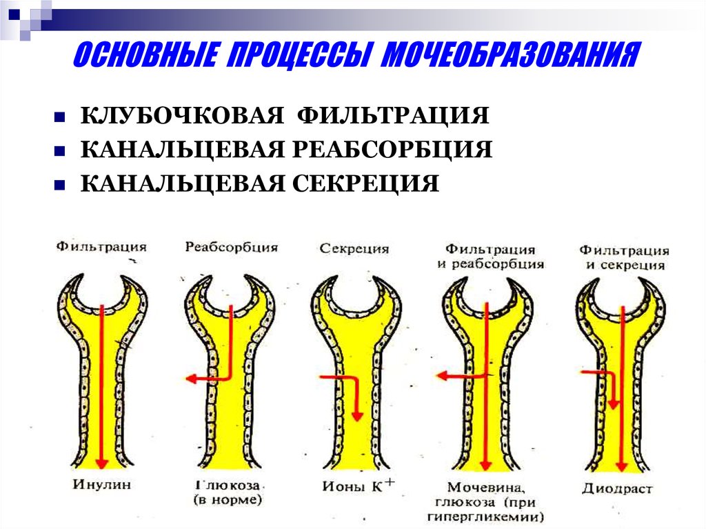 Процесс х