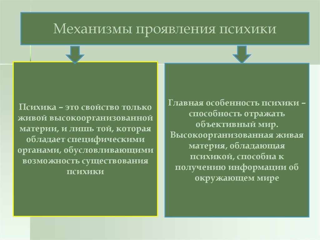 Высокоорганизованная материя. Главные особенности психики. Главная особенность психики. Формы существования психики. Психика и ее отличия от других свойств которые обладает материи.