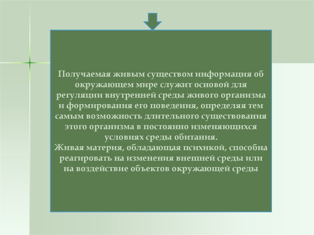 Живой получать. Получаемая живым существом информация. Сущность живого. Психика живое существо. Психика обеспечивает выживание живого существа.