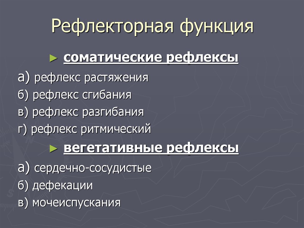 Рефлекторная функция. Функции рефлексов. Функции рефлекса растяжения. Функции соматического рефлекса.