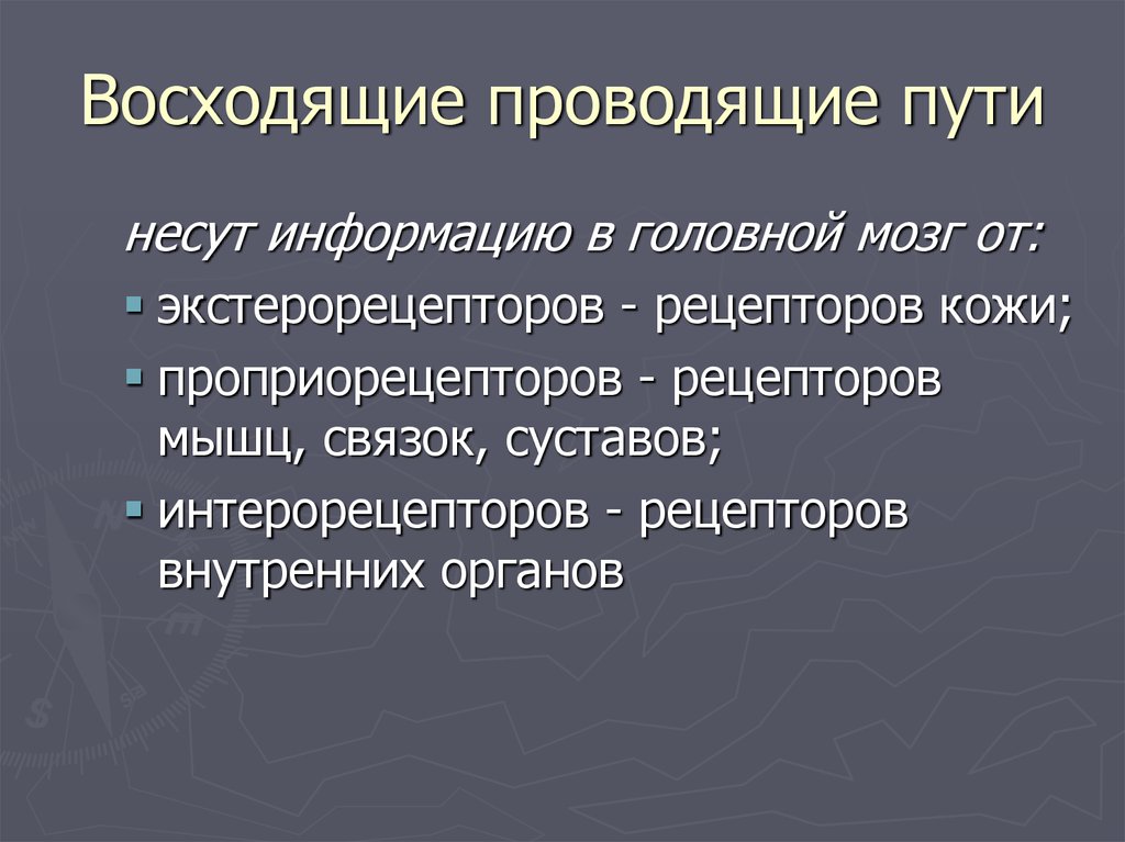 Несущий информацию. Роль спинного мозга в регуляции функций организма. Восходящие функции. Восходящая функция. Частота и сила сердечных сокращений функции продолговатого мозга.