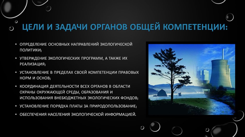 Какие задачи стоят. Органы общей компетенции. Органы общей и специальной компетенции. Задачи органов общей компетенции. Органы управления общей компетенции.