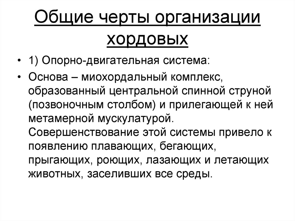 Черты предприятия. Общие черты организации хордовых. Основные черты организации хордовых животных. Черты организации. Основные черты хордовых.