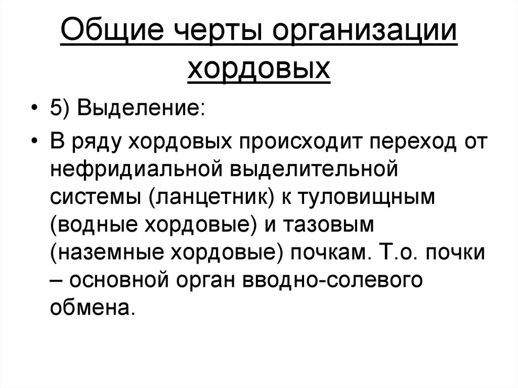 Черты организации. Общие черты всех организаций. Черты человека присущие типу Хордовые. Что такое черты организации животных.