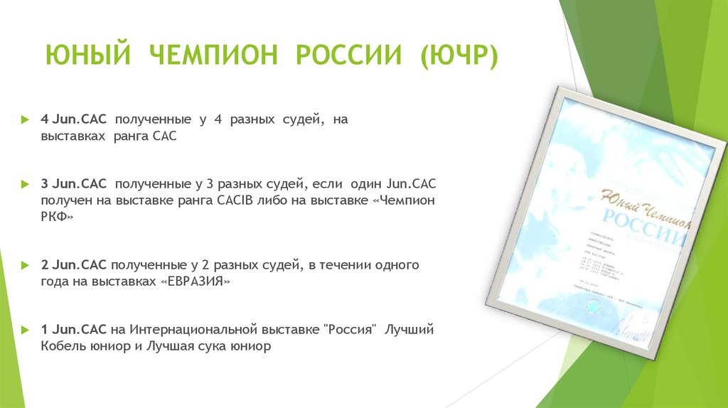 Заявка на присвоение титулов ркф чемпионы образец заполнения