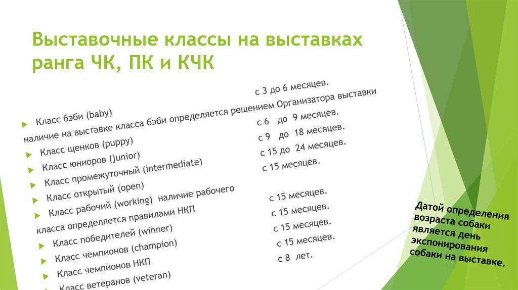 Титул сас. Классы собак на выставке по возрасту. Классы собак по возрасту. Выставочные классы собак. Классы на выставках собак по возрасту РКФ.