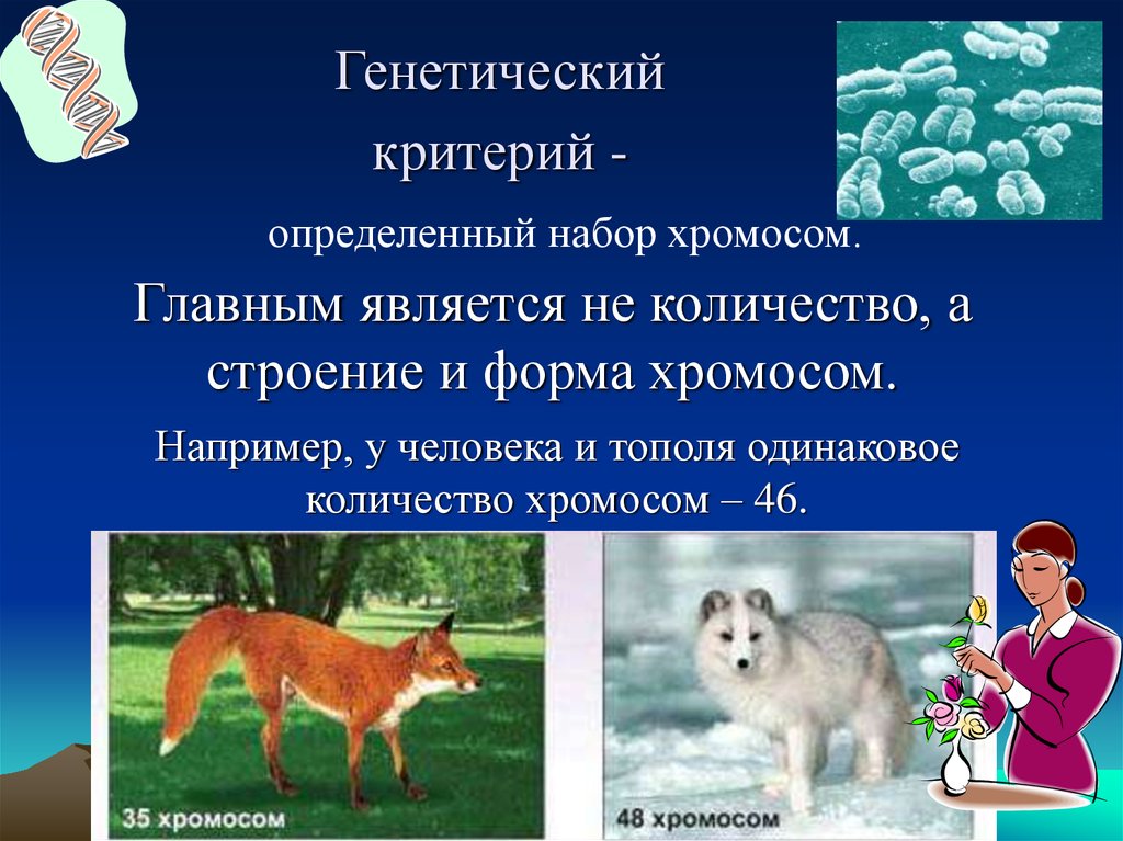 Генетический примеры. Генетический критерий примеры. Генетический критерий вида примеры. Молекулярно-генетический критерий вида. Генетический критерий исключения.