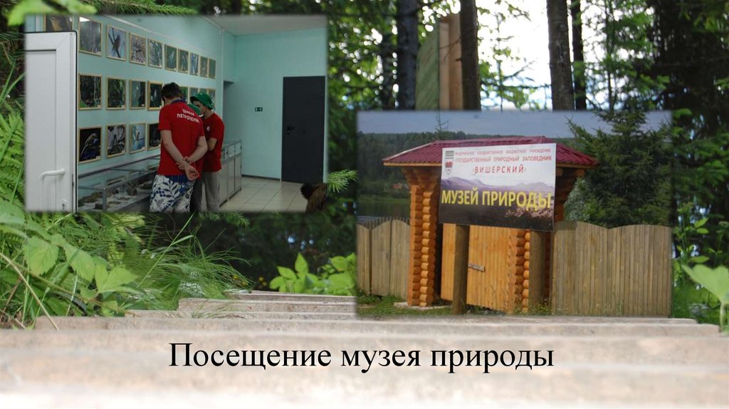 Посещение музея природы