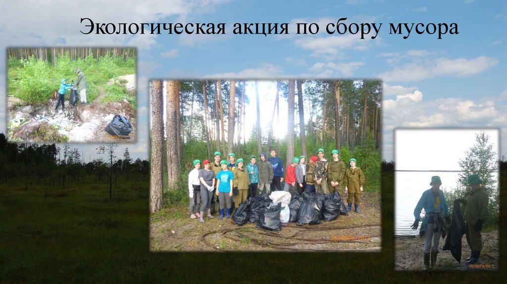 Экологическая акция по сбору мусора