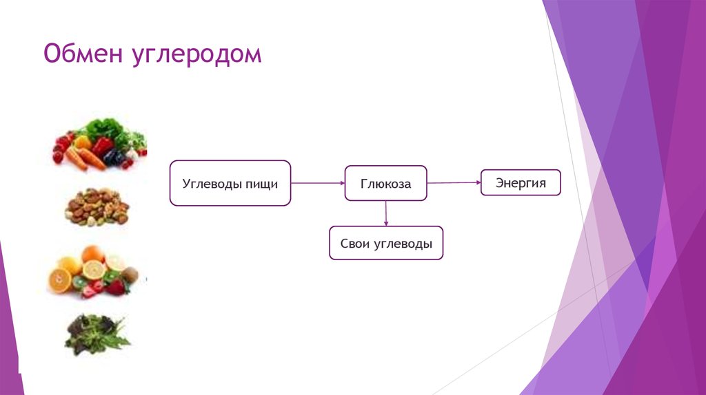 Обмен углеродом