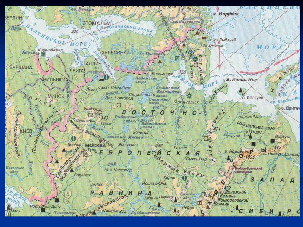 Природные границы северо запада. Физическая карта Северо-Западного райо. Физическая карта Северо-Западного Северо-Западного района. Рельеф европейского севера и Северо Запада России на карте.