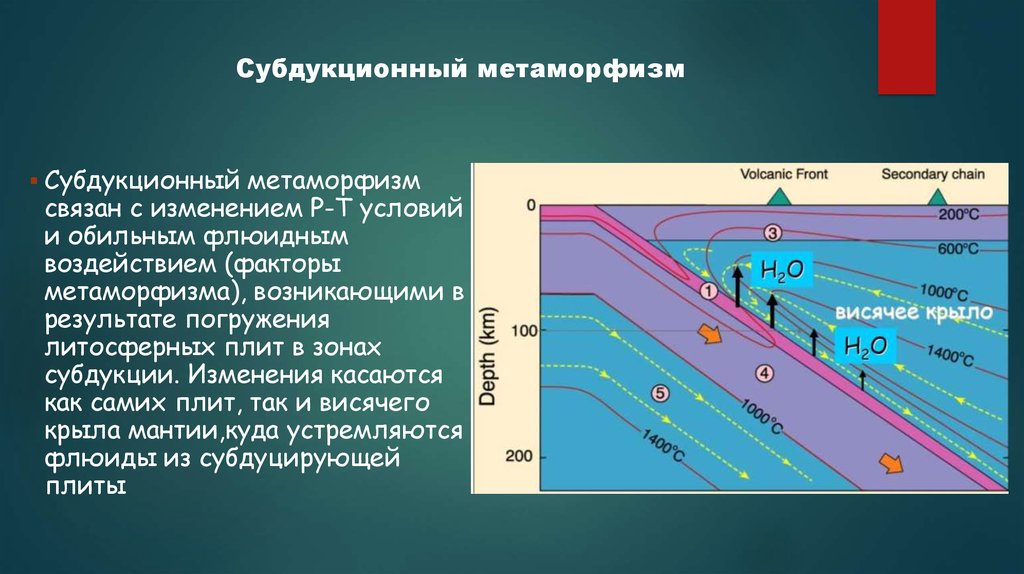 Карта метаморфизма это