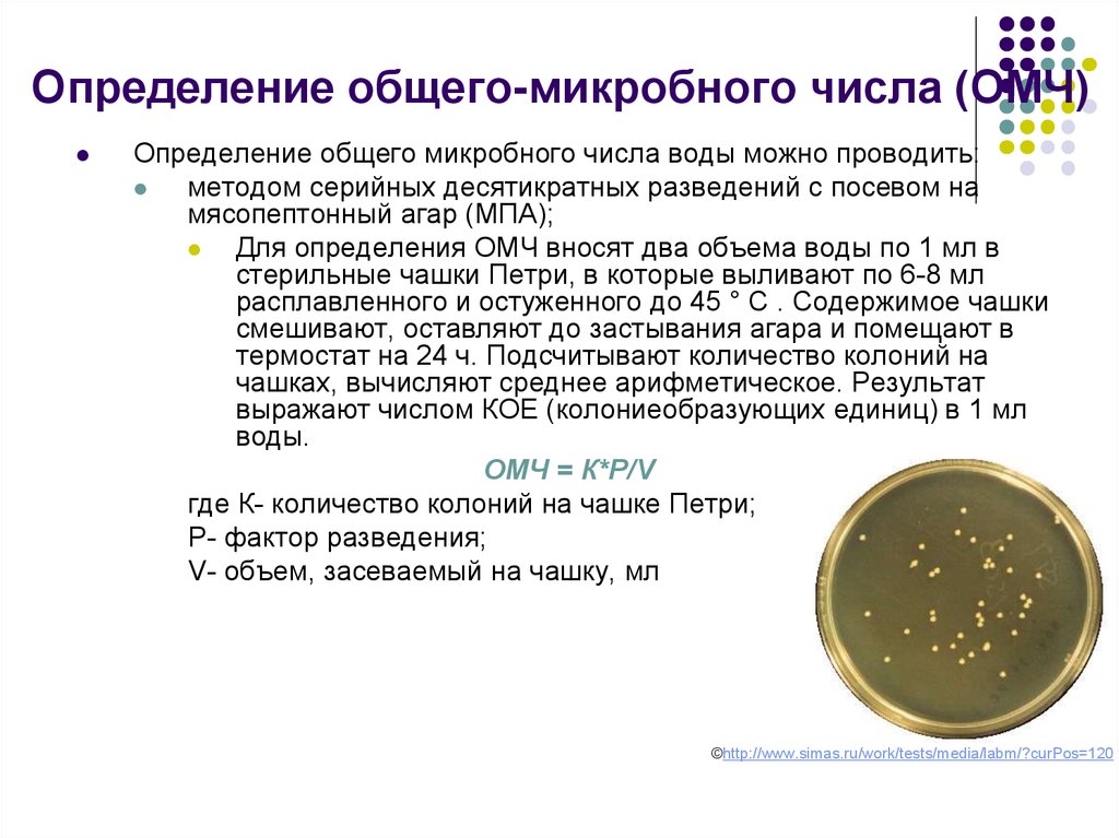 Посев определение. ОМЧ воды питательные среды и нормы. ОМЧ микробиология в воздухе норма. ОМЧ воды питательные среды. ОМЧ микробиология.