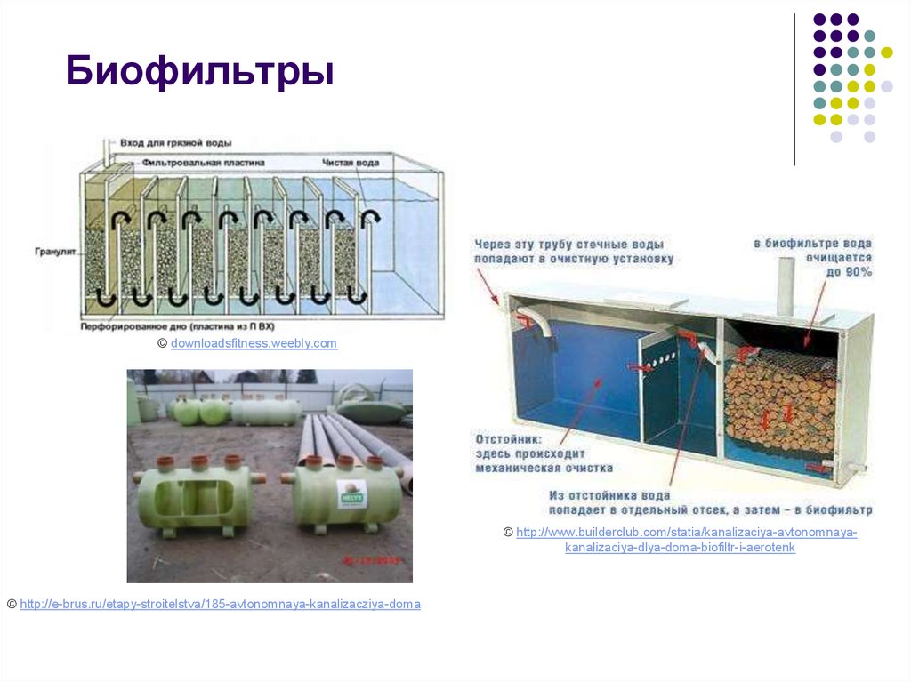 Функцию биологического фильтра выполняет