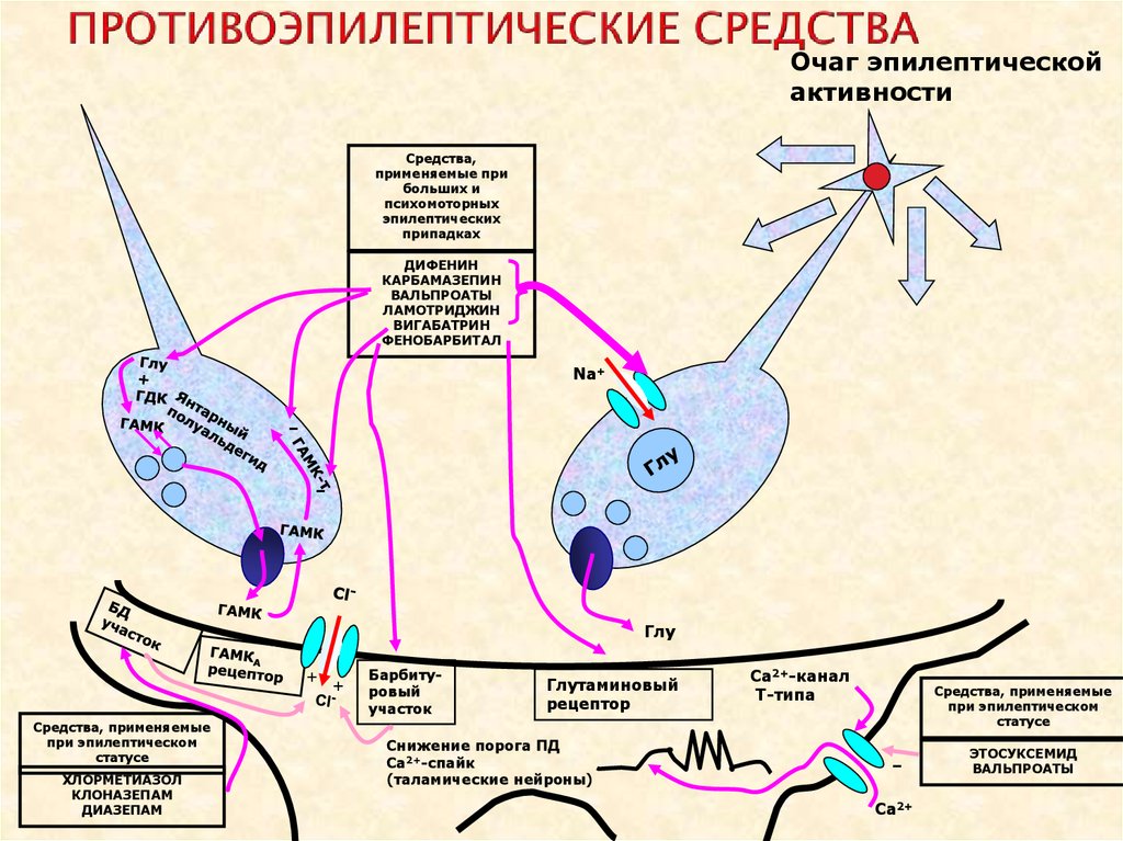 Укажите механизм действия. Механизм действия противопаркинсонических средств. Механизм действия противопаркинсонических средств схема. Противоэпилептические препараты механизм действия. Противопаркинсонические препараты противоэпилептические.