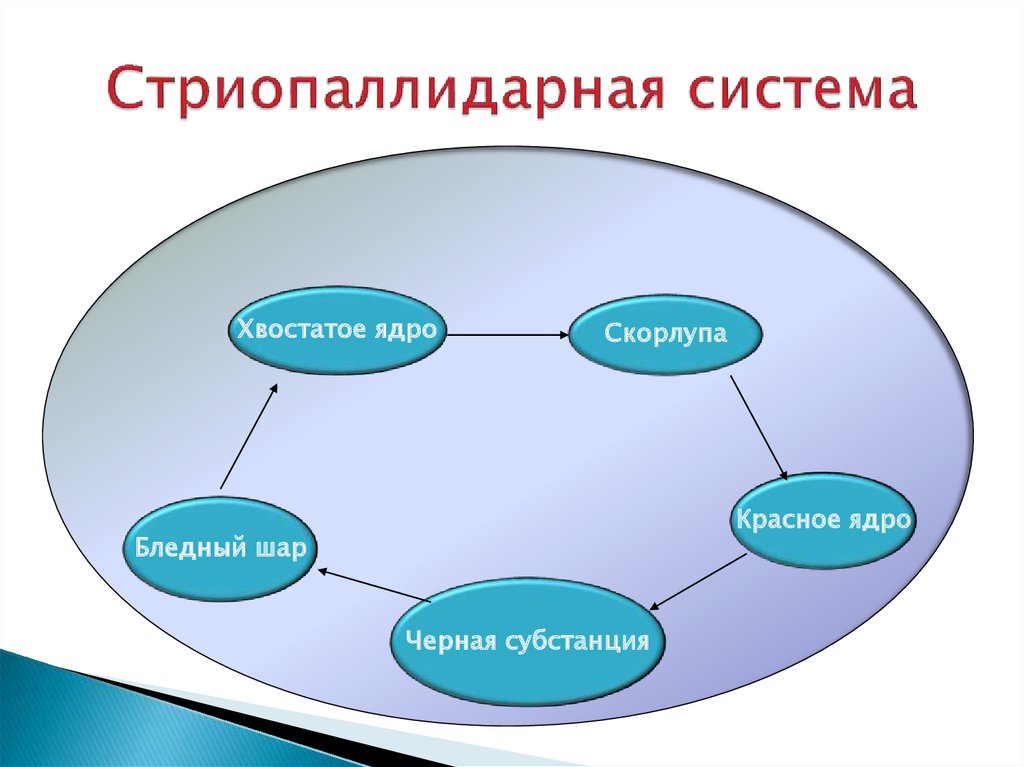 Звуковая схема айболит