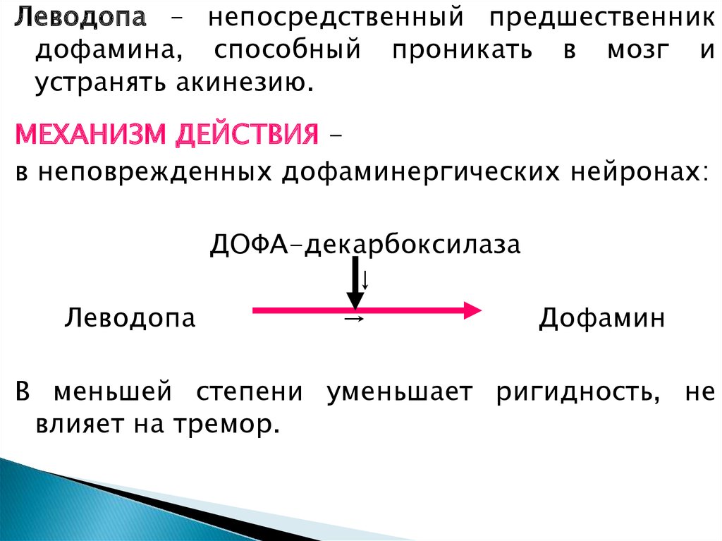 Предшественник это. Предшественники дофамина механизм действия. Леводопа механизм действия. Непосредственный предшественник. Леводопа предшественник дофамина.