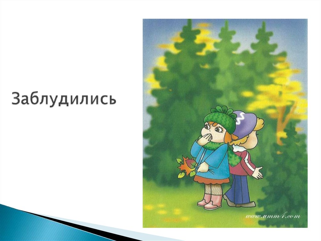 Заблудились