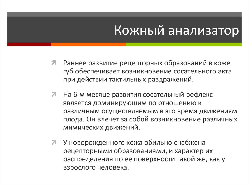 Кожный анализатор. Функции кожного анализатора. Кожа кожный анализатор.