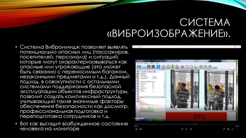 система «Виброизображение».