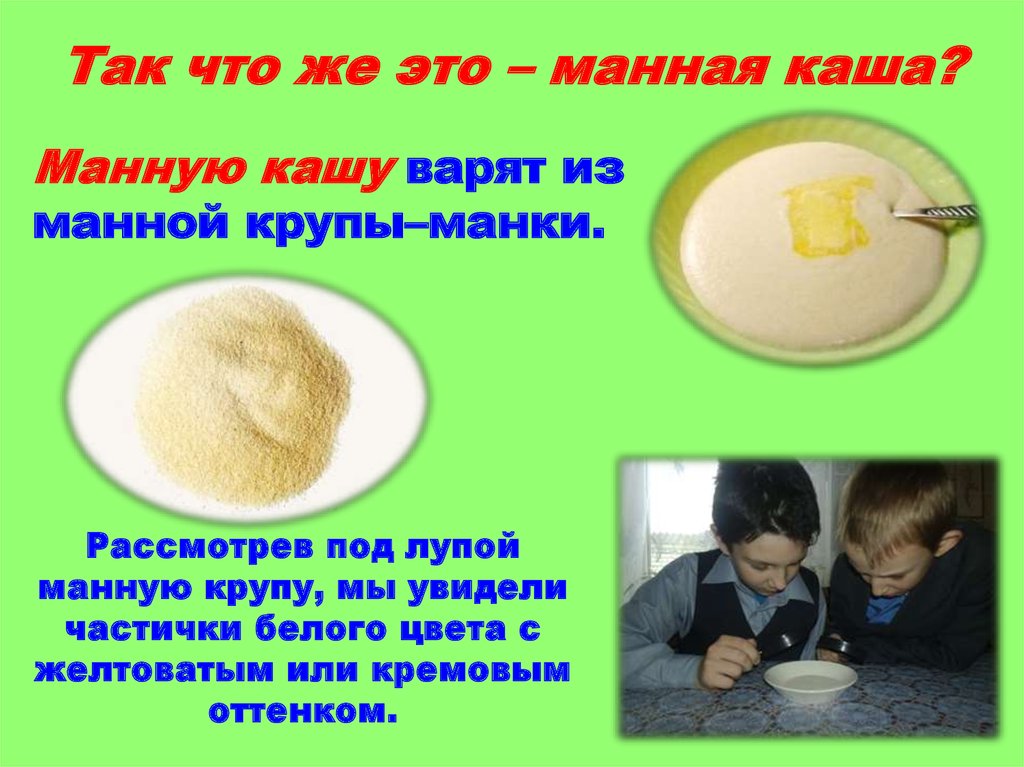 Вся правда о манной кашей