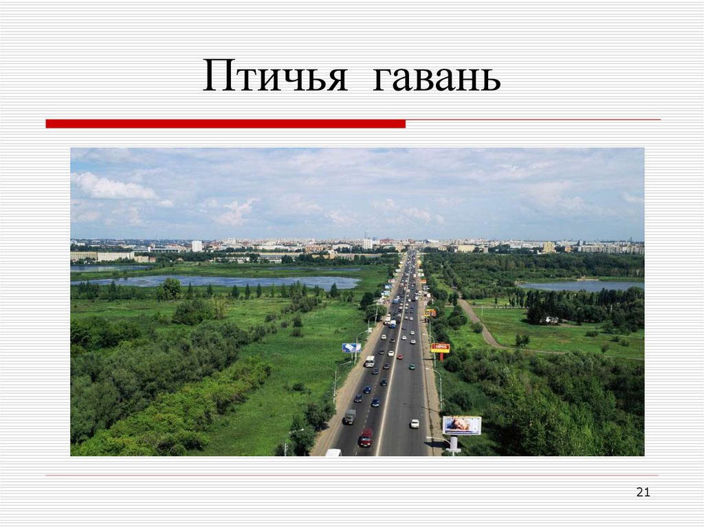 Птичья гавань