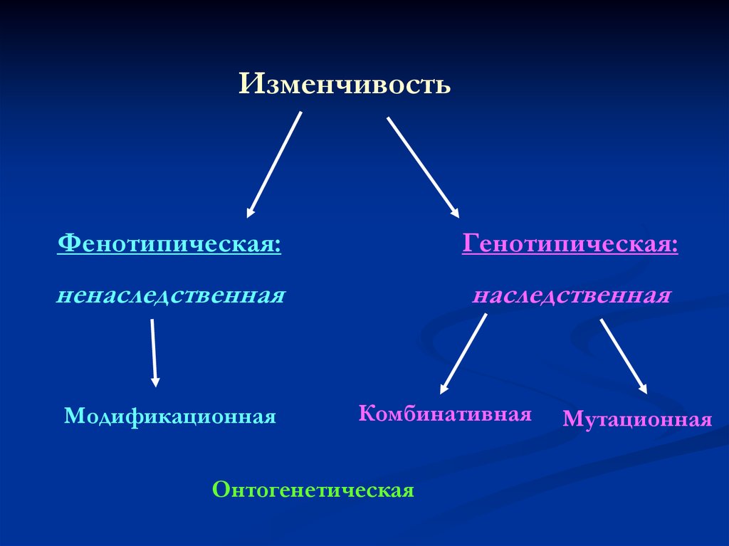 Изменчивость материалов. Онтогенетическая изменчивость наследственная и ненаследственная. Фенотипическая и комбинативная изменчивость. Фенотипическая изменчивость. Генотипическая изменчивость комбинативная.