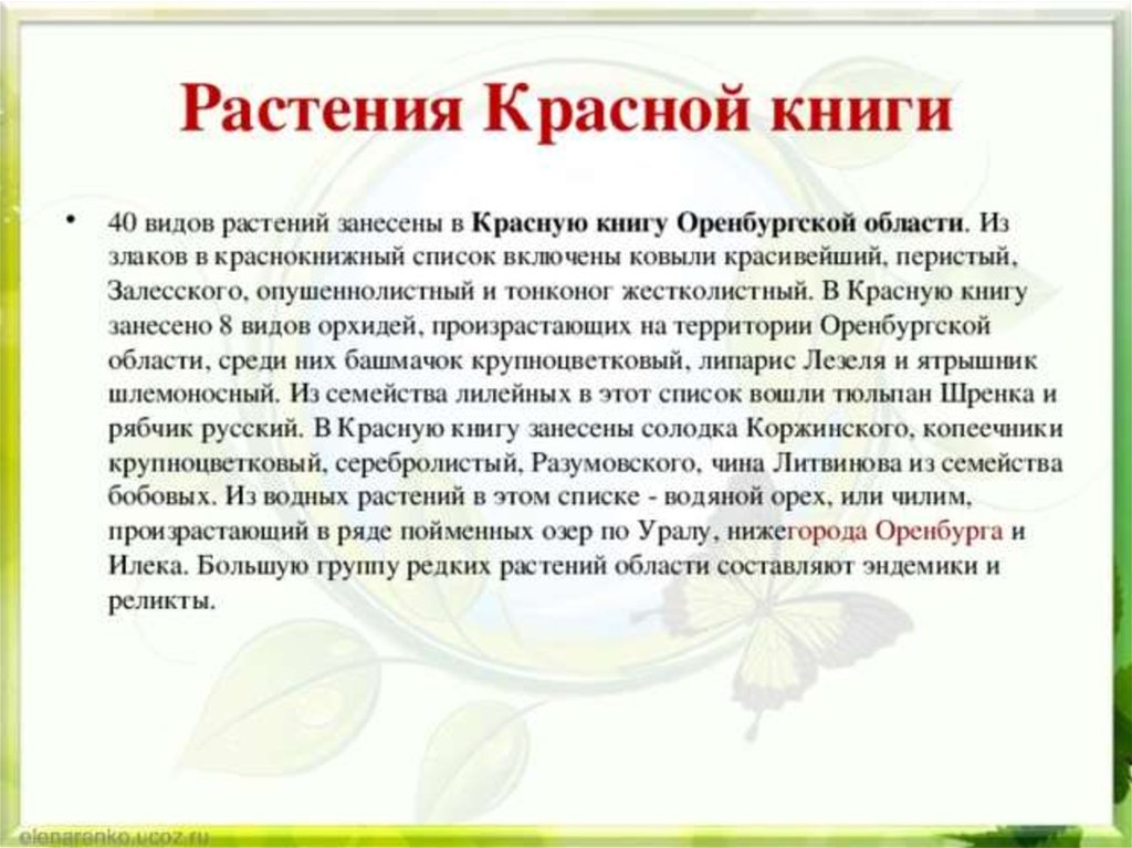 Растительный и животный мир оренбургской области презентация