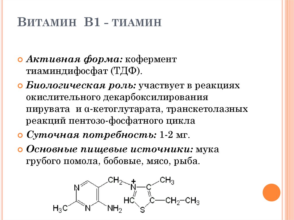 Группа б активная форма. Витамин b1 структура. Витамин б1 тиамин формула. Тиамин витамин в1 структура. Витамин b1 кофермент.