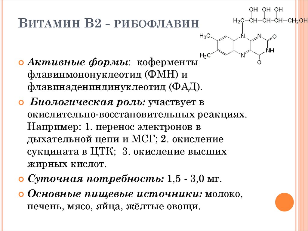Группа б активная форма. Коферменты витамина b2 функции. Витамин в2 биохимические функции. Витамин b2 рибофлавин функции. Основные функции витамина в2 биохимия.