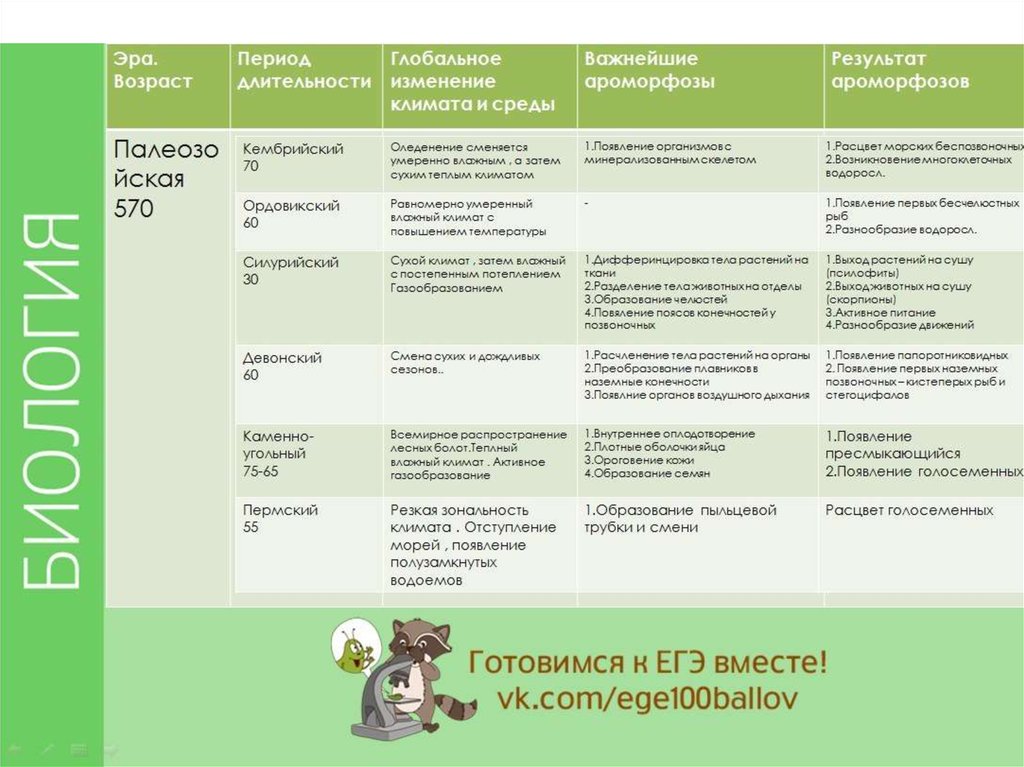 Начальные этапы развития жизни схема