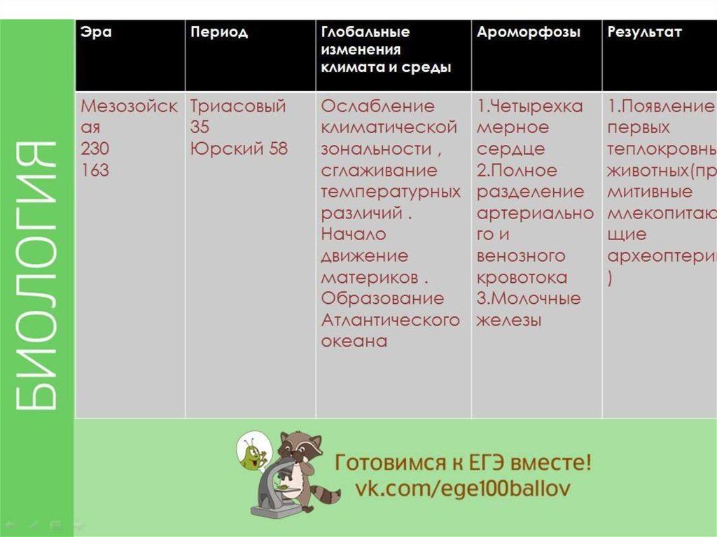 Смена результаты. Основные этапы развития растительного и животного мира. Важнейшие ароморфозы растений и животных таблица эры. Эры и периоды ароморфозы. Таблица развития жизни на земле эры ароморфозы.