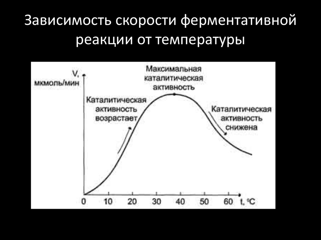 Зависимость скорости реакции от температуры