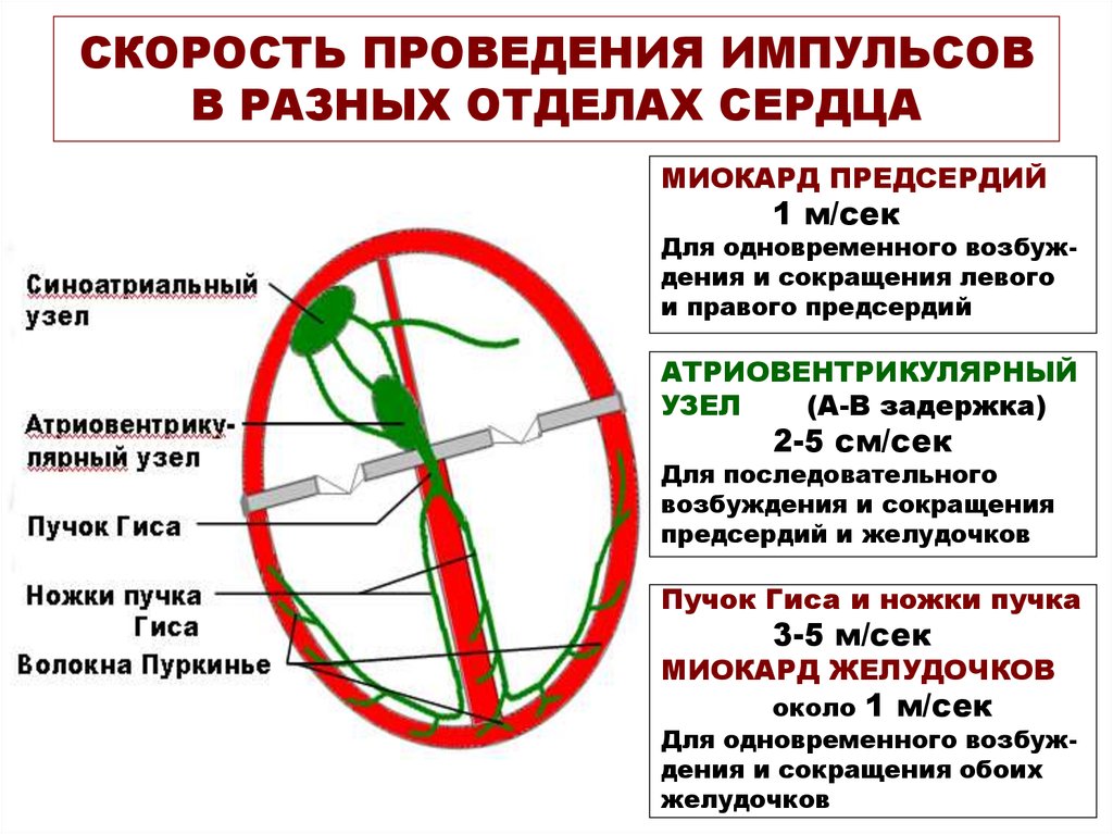 Скорость проведения