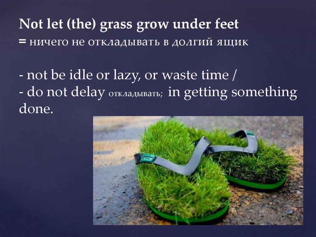 His feet перевод. Let the grass grow under your feet. Let the grass grow under one's feet объяснение. Let's not waste time. Let grass grow under your feet истории для использования.