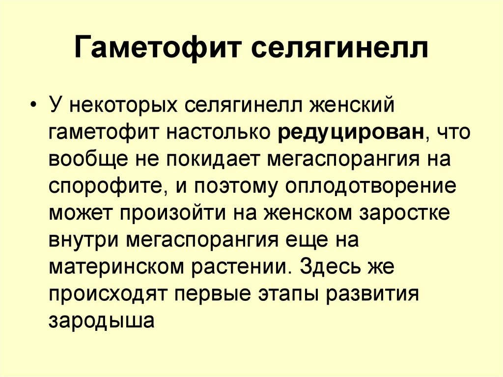 Гаметоцит это. Редуцированный гаметофит. Господствующее поколение гаметофит. Гаметофит сильно редуцирован. Редуцированный гаметофит что означает.