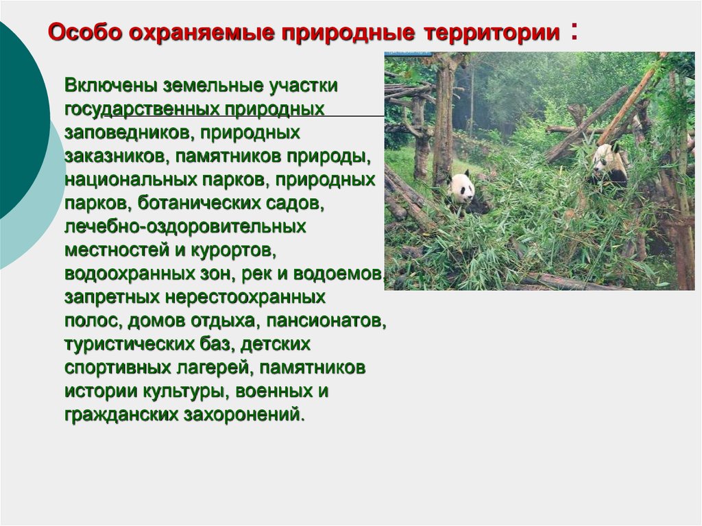 Территория земли включает. Охраняемые природные территории заказники. Особо охраняемые участки. ООПТ заповедники. Особо охраняемых территорий заповедник.