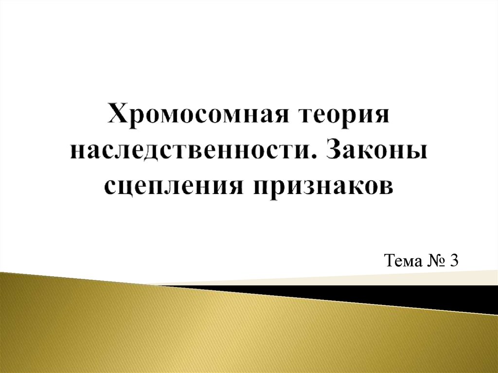 Хромосомная теория наследования 10 класс презентация