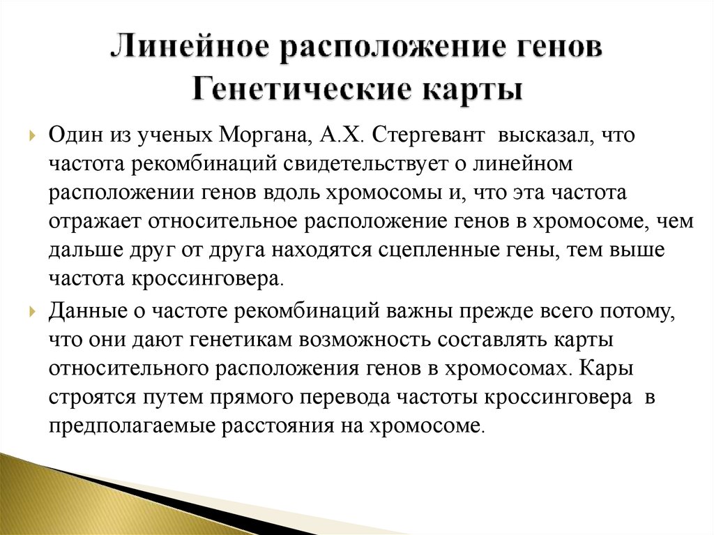 Положения хромосомной теории. Линейное расположение генов. Расположение генов в хромосоме. Линейное расположение генов в хромосоме кратко. Доказательства линейного расположения генов в хромосомах.