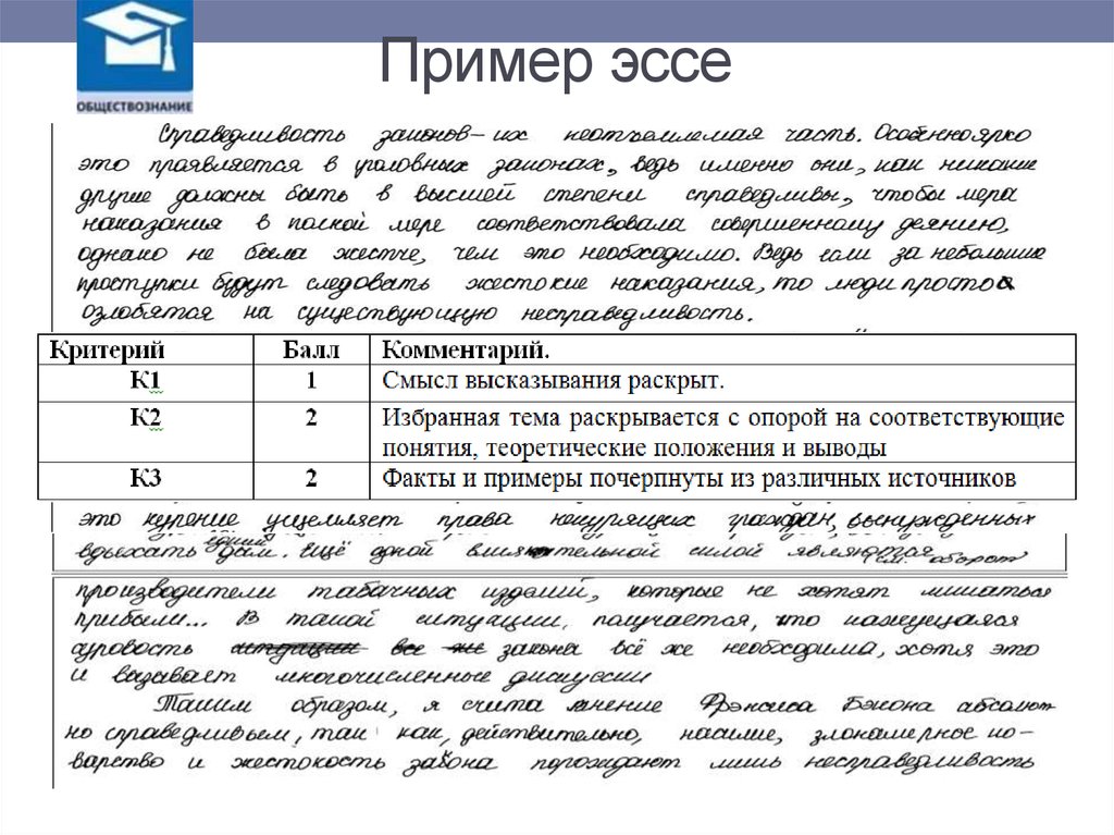 Как составить эссе образец