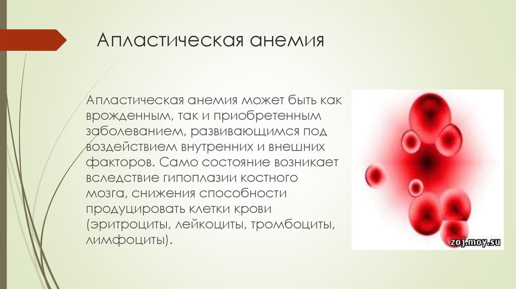Анемия и эритроциты в крови. Апластическая анемия эритроциты форма. Эритроциты при апластической анемии. Апластическая анемия гиперхромная. Апластическая анемия эритроциты в крови.