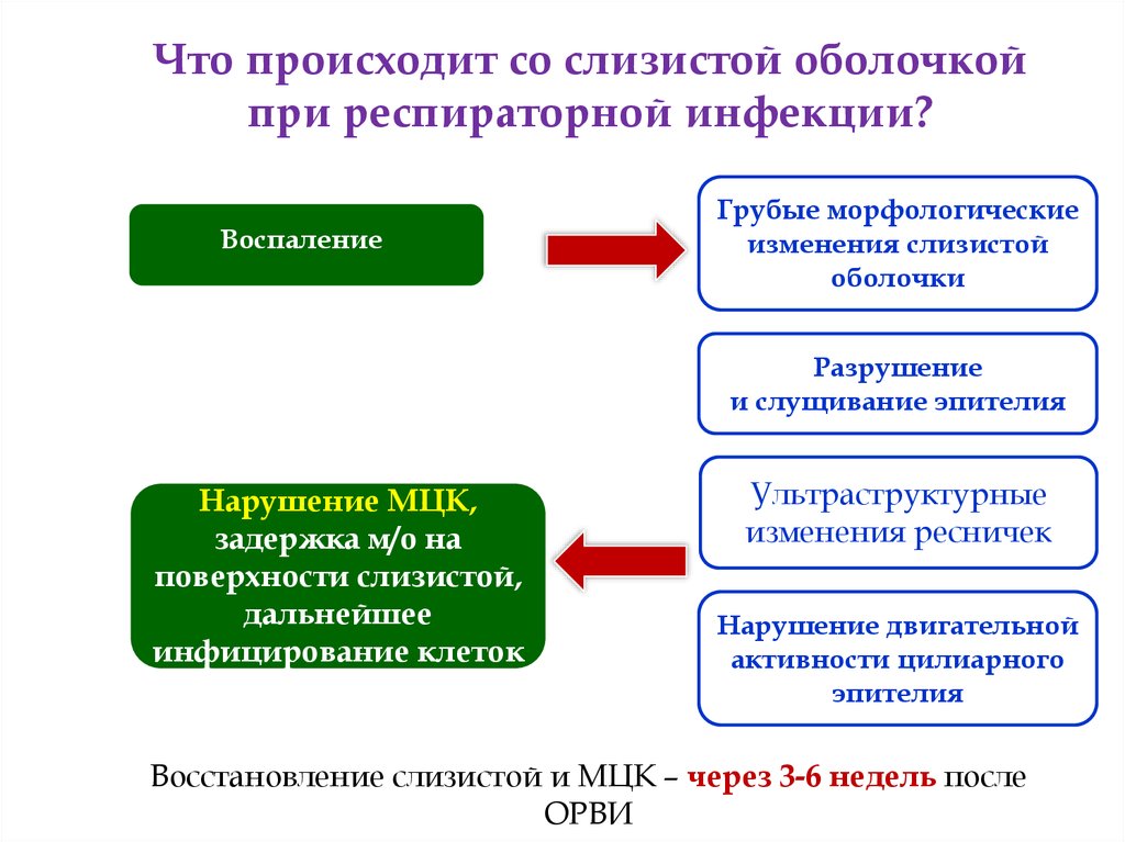 Основной путь инфицирования респираторных отделов легких