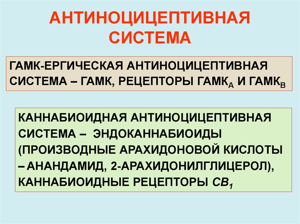 Антиноцицептивная система презентация