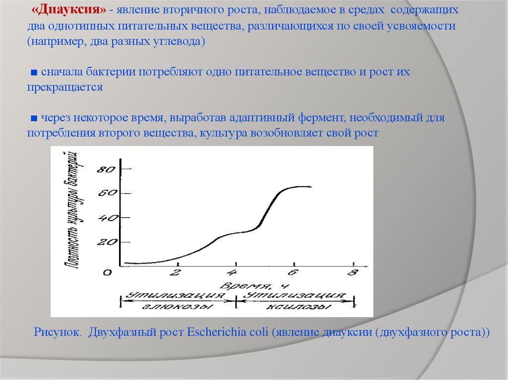 Явление роста